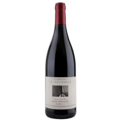 Domaine De La Rectorie - Collioure Rouge Côté Mer | French Wine